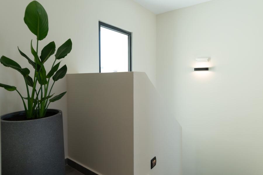 Fascia Verde III