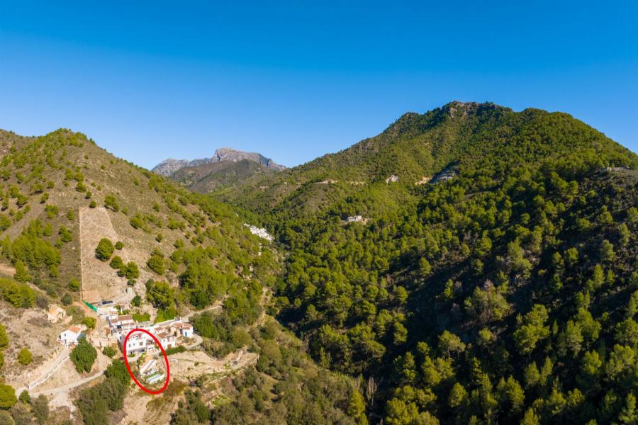 Villa Florentin
