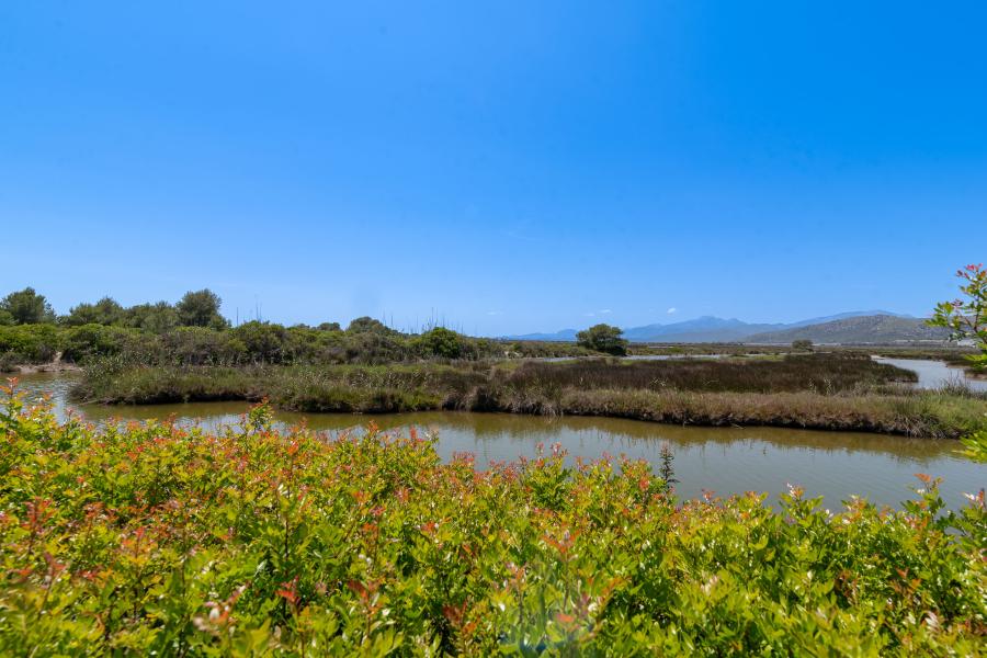 Villa de Blanco II