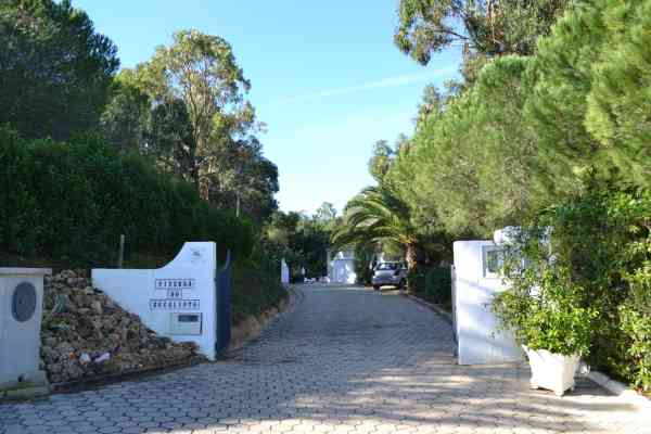 Villa Eucalyptus