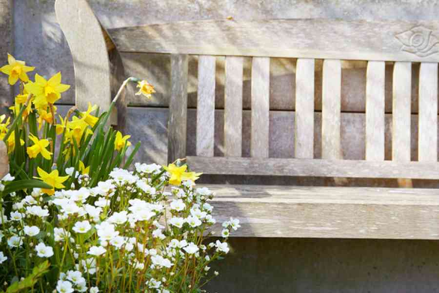 Seahorse Cottage 